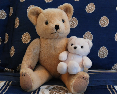 Papa Bear and Baby Bear