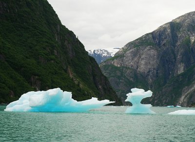 Ice sculpture in Tracy Arm