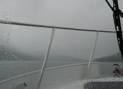 Rainy morning in Chatham Strait