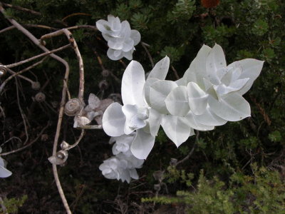 DSCN1721.JPG