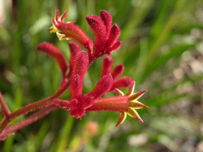 DSCN1830.JPG