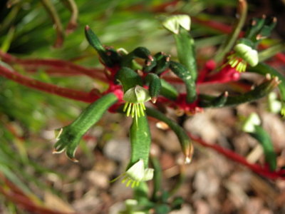 DSCN1839.JPG
