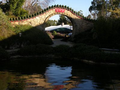Chinese garden on campus.JPG