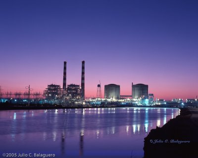PTN-CJB--TurkeyPoint.jpg