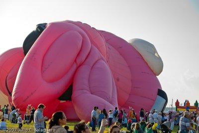 20070414_hot_air_balloon_048.jpg