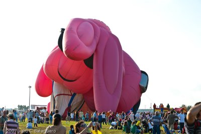 20070414_hot_air_balloon_054.jpg