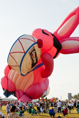 20070414_hot_air_balloon_056.jpg