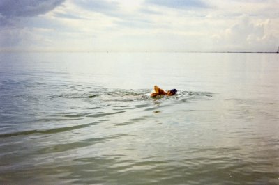 Adalberto-70.jpg