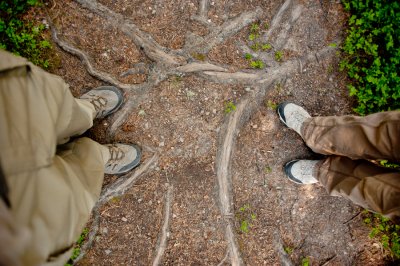 A and K trail roots