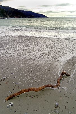 Baptism of a Stick