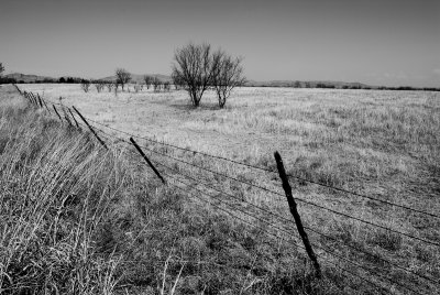 Oklahoma Landscape.jpg