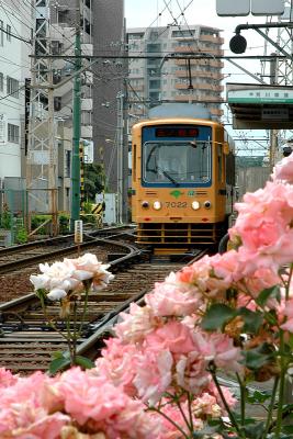 g4/49/485749/3/61224683.Arakawa13.jpg