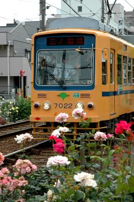 g4/49/485749/3/61224685.Arakawa14.jpg