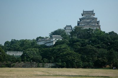 DSC_0500.JPG