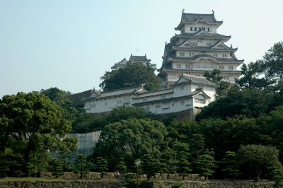 DSC_0510.JPG