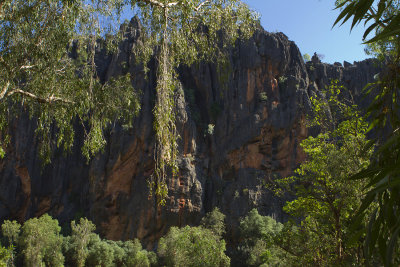 Windjana Gorge