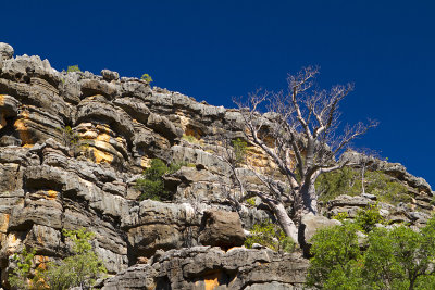 Windjana Gorge