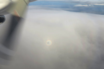 Halo