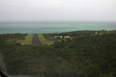 YDNI