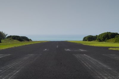 YDNI