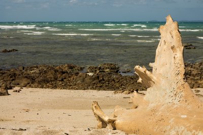 Horn Island
