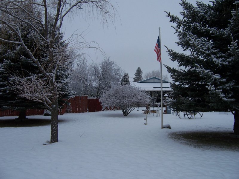 100_1547.jpg