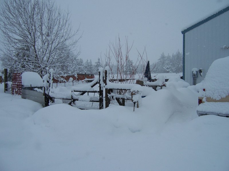 100_1742.jpg