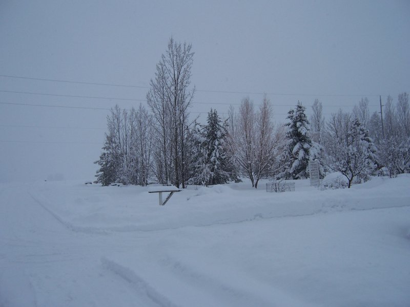 100_1749.jpg