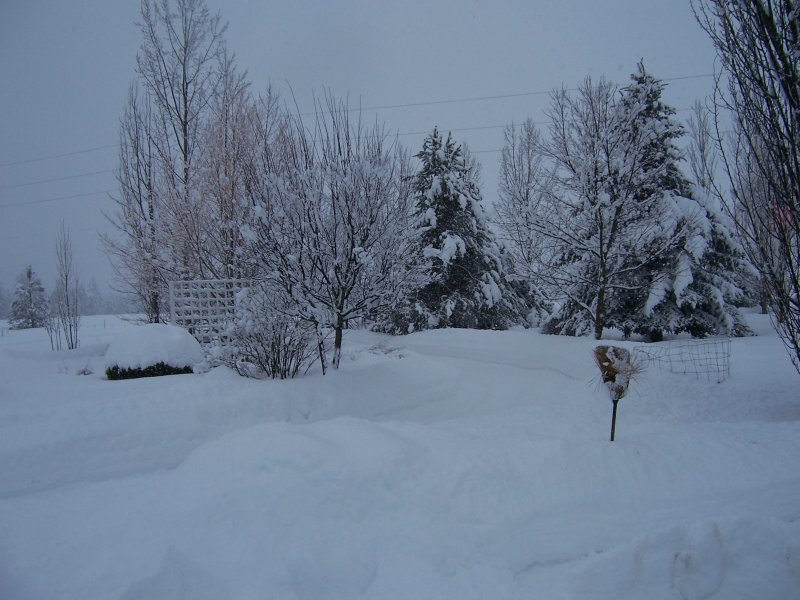 100_1757.jpg