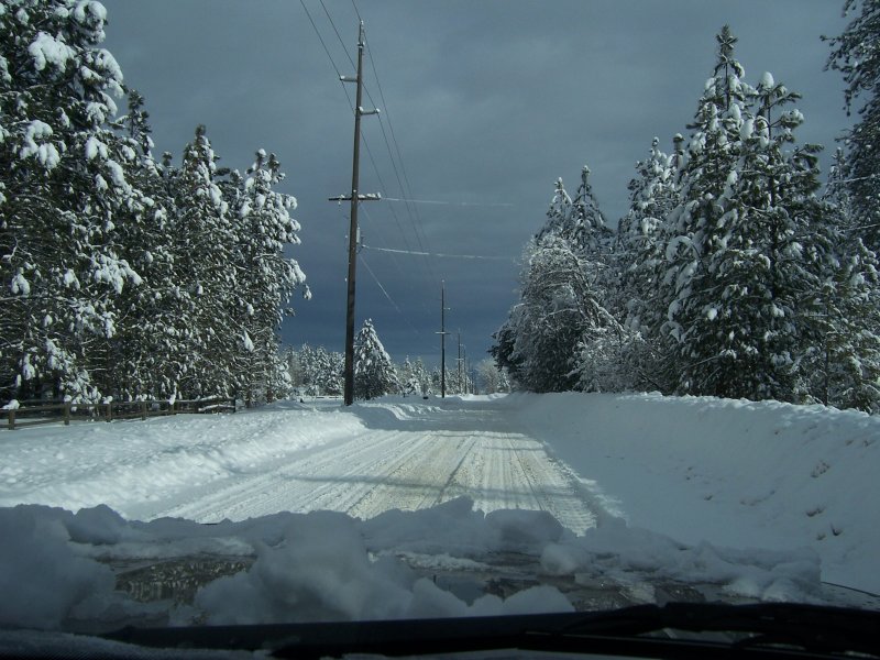 100_1790.jpg