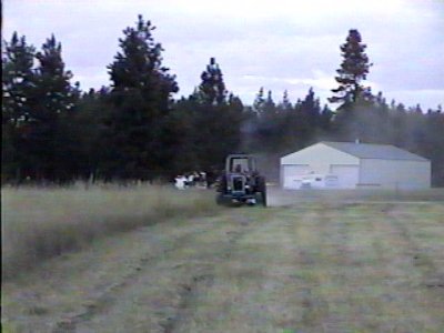 Opie headed back from the end of our field.jpg