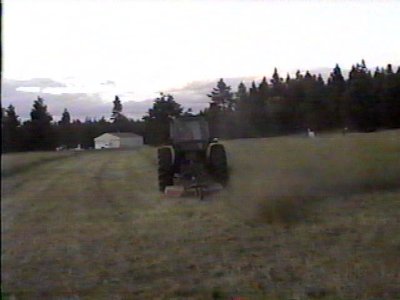 Opie mowing into the sunset.jpg