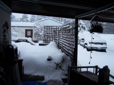 Snow Jan 27, 2008