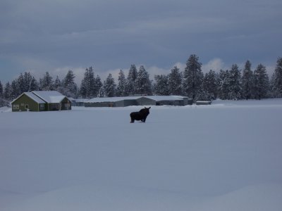 100_1778.jpg