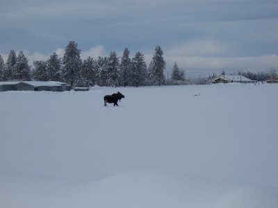 100_1780.jpg