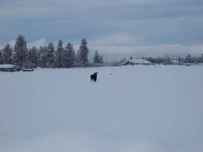 100_1781.jpg