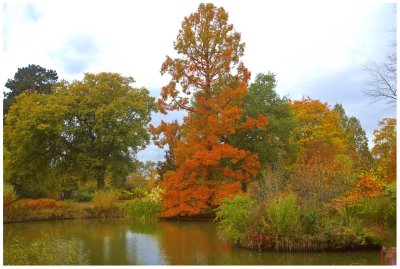 6 of the BEST from RHS WISLEY