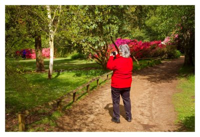 ISOBELLA PLANTATION @ RICHMOND PARK