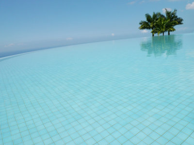 Vanishing Pool and Palms