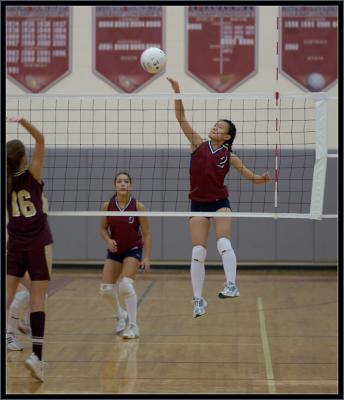 Home vs Algonquin - V_036