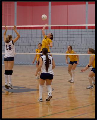 2005_1111_006