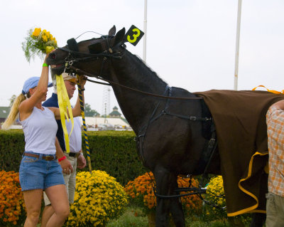 Virgin Winner's Circle