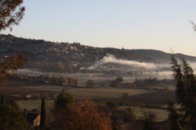 Boxing Day morning 2011