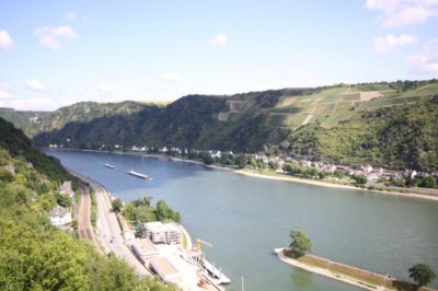 Rhine