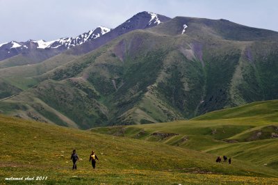 _DSC1877.jpg