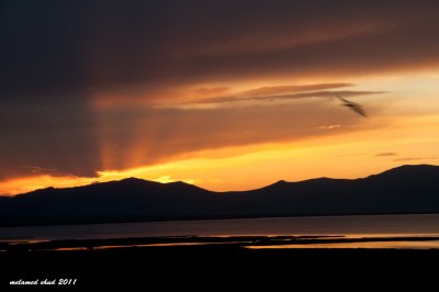 _DSC2009.jpg