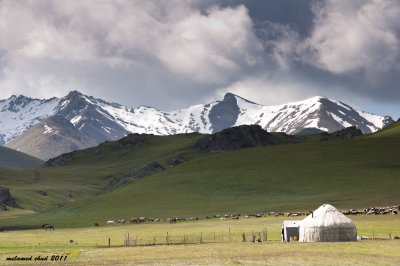 _DSC2065.jpg