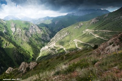 _DSC2210.jpg