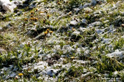 _DSC4956.jpg
