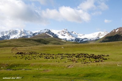 _DSC4992.jpg